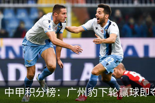 中甲积分榜：广州豹下轮赢球即夺冠冲超，二三四名仅差1分