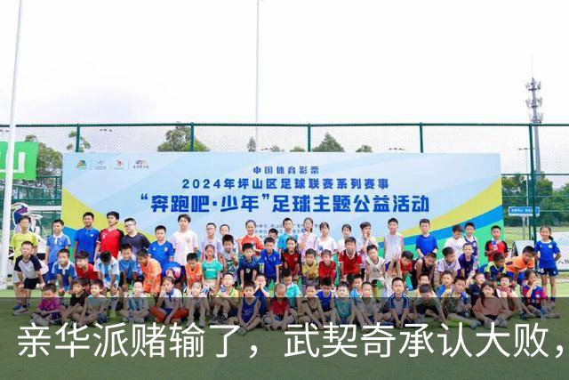 亲华派赌输了，武契奇承认大败，14年规则被打破，对华关系怎么办