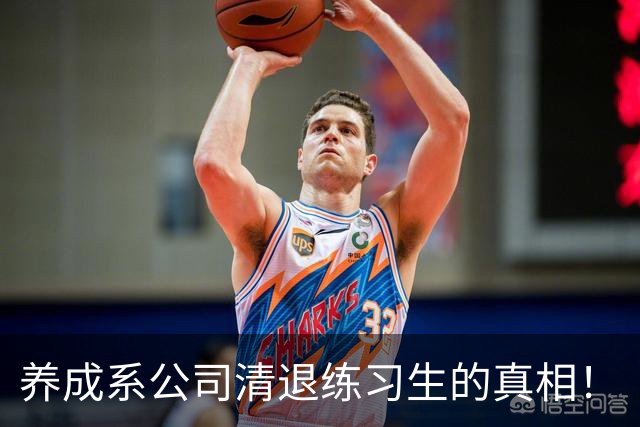 养成系公司清退练习生的真相！