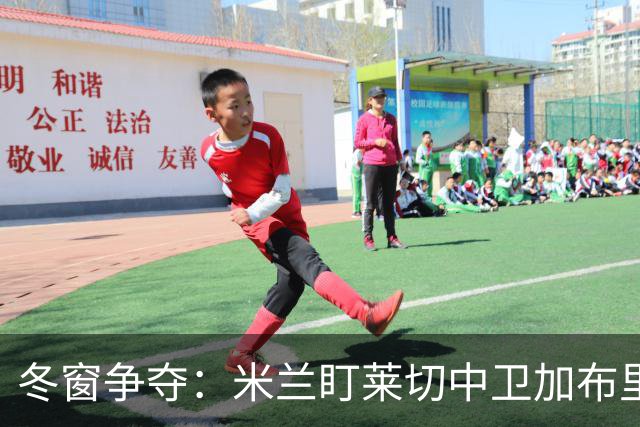 冬窗争夺：米兰盯莱切中卫加布里埃尔 埃弗顿水晶宫已询价