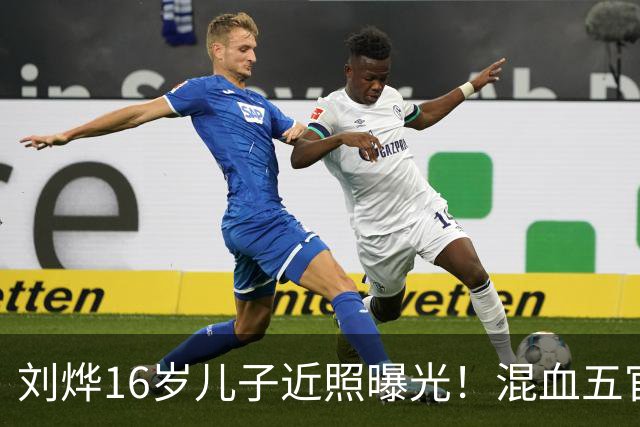 刘烨16岁儿子近照曝光！混血五官被指像年轻时小李子莱昂纳多