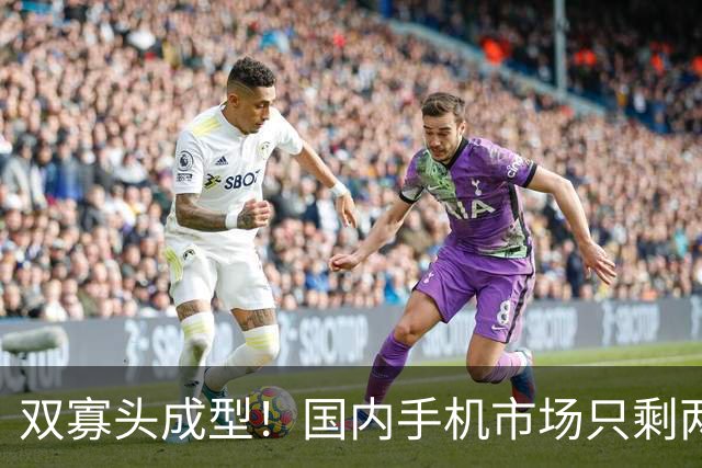 双寡头成型！国内手机市场只剩两大玩家博弈