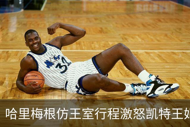哈里梅根仿王室行程激怒凯特王妃，多年积怨爆发，坚持先问责