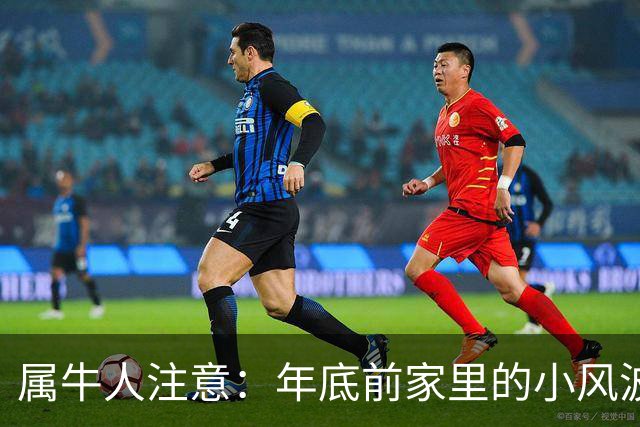 属牛人注意：年底前家里的小风波，其实是亲家关系升温的好兆头