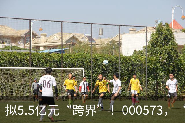 拟5.5亿元“跨界”！000573，“一字”涨停