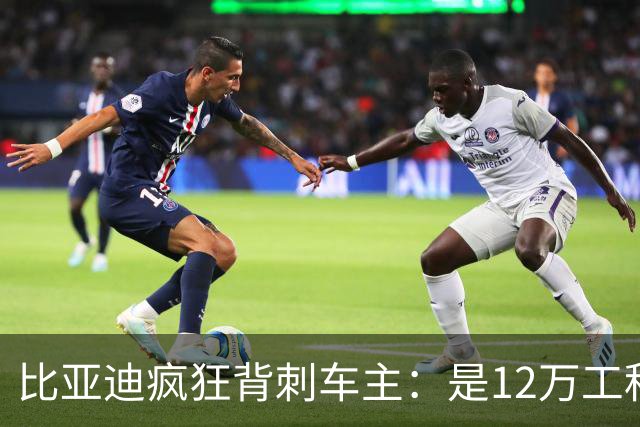比亚迪疯狂背刺车主：是12万工程师的技术鱼池，必然的结果