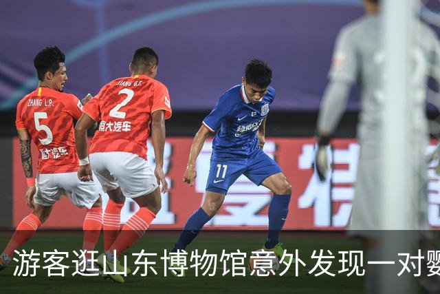 游客逛山东博物馆意外发现一对鹦鹉木雕神似奶龙，体态圆润颜色清澈，馆方：是旧时泰山旅店吸引香客的招幌