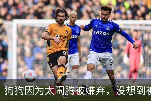 狗狗因为太闹腾被嫌弃，没想到被人一眼选中，后来成了小英雄！