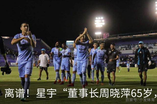 离谱！星宇“董事长周晓萍65岁，儿子周宇恒58岁”，只差7岁？