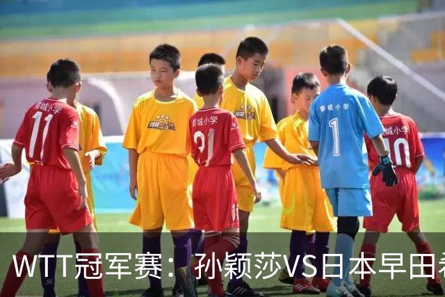 WTT冠军赛：孙颖莎VS日本早田希娜、蒯曼VS日本张本美和、陈熠VS佐藤瞳